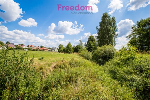 Działka budowlana na sprzedaż Boguchwała, Partyzantów 4 700m2 Foto 9