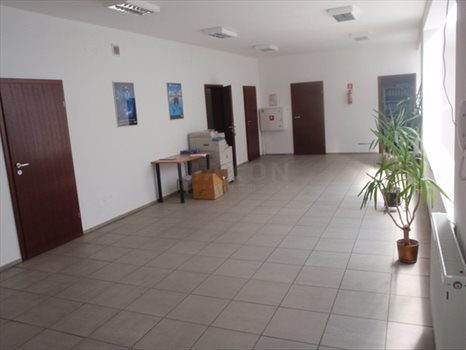 Lokal użytkowy na sprzedaż Sulejówek, ul. Świętojańska 687m2 Foto 5
