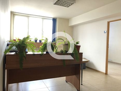 Lokal użytkowy na wynajem Gdynia, Śródmieście 498m2 Foto 5