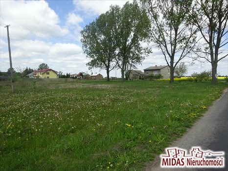 Działka rolna na sprzedaż Kowal, Przydatki Gołaszewskie 1 160m2 Foto 2