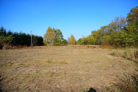 Działka budowlana na sprzedaż Jastrzębnik 1 500m2 Foto 2