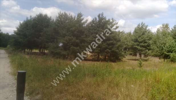Działka budowlana na sprzedaż Warszawa, Ursynów, Prawdziwka 3 612m2 Foto 3