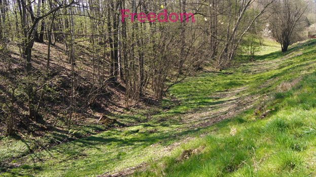 Działka budowlana na sprzedaż Krzywaczka 4 589m2 Foto 7