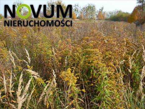 Działka inwestycyjna na sprzedaż Tarnowskie Góry 21 500m2 Foto 2