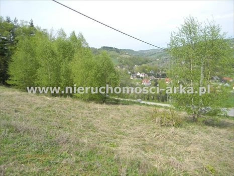 Działka budowlana na sprzedaż Limanowa 3 676m2 Foto 3