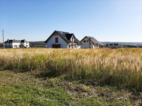 Działka budowlana na sprzedaż Żerkowice 998m2 Foto 1