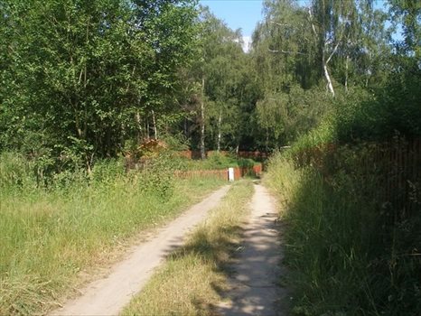 Działka rekreacyjna na sprzedaż Parlino 940m2 Foto 4