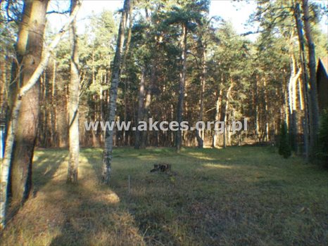 Działka budowlana na sprzedaż Otwock, Świder 1 325m2 Foto 2