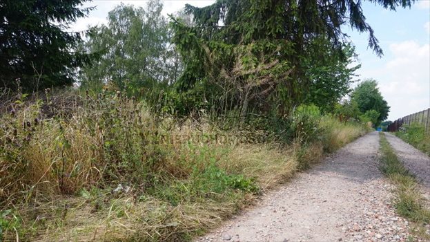 Działka budowlana na sprzedaż Kobylnica, Dolinowa 1 256m2 Foto 10