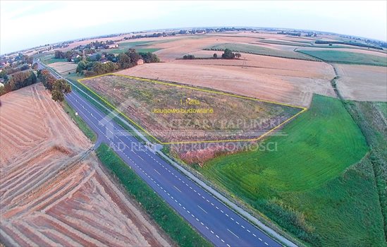 Działka inwestycyjna na sprzedaż Bogucin 11 200m2 Foto 2