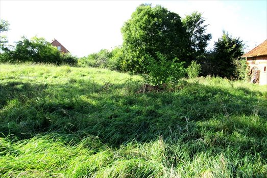 Działka siedliskowa na sprzedaż Krokocie 3 591m2 Foto 4