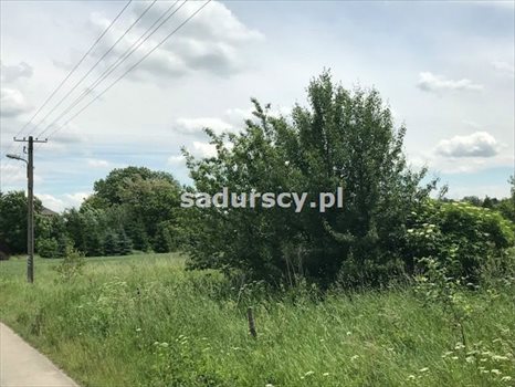 Działka inna na sprzedaż Januszowice 7 200m2 Foto 6