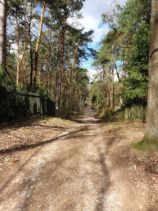 Działka budowlana na sprzedaż Zalesie Górne, Urocza 2 661m2 Foto 1