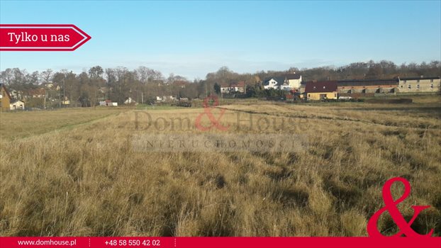 Działka rolna na sprzedaż Czapielsk, Słonecznikowa 6 272m2 Foto 3