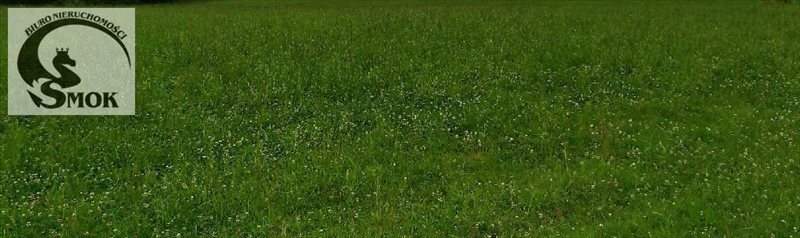 Działka budowlana na sprzedaż Krzywaczka 3 100m2 Foto 1