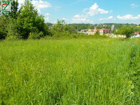 Działka budowlana na sprzedaż RABKA-ZDRÓJ 9 232m2 Foto 4