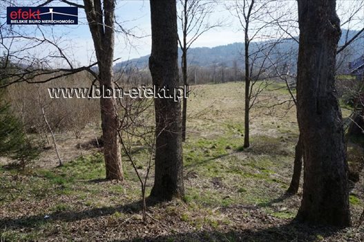 Działka inwestycyjna na sprzedaż Jeleśnia 1 323m2 Foto 4