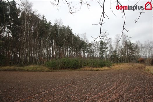 Działka inna na sprzedaż Zławieś Mała 3 005m2 Foto 4