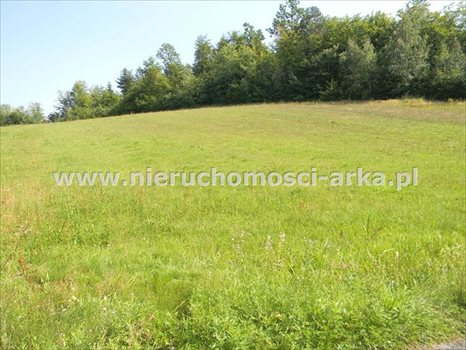 Działka budowlana na sprzedaż Kłodne 1 800m2 Foto 1