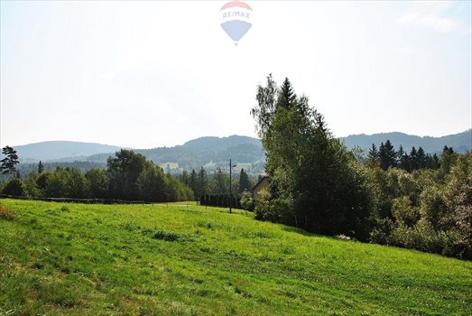 Działka rolna na sprzedaż Pewel Wielka 600m2 Foto 13