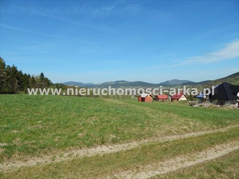 Działka budowlana na sprzedaż Kasina Wielka 3 300m2 Foto 5
