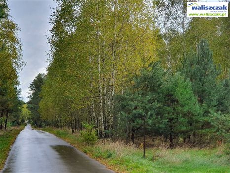 Działka budowlana na sprzedaż Ostrów 1 306m2 Foto 1