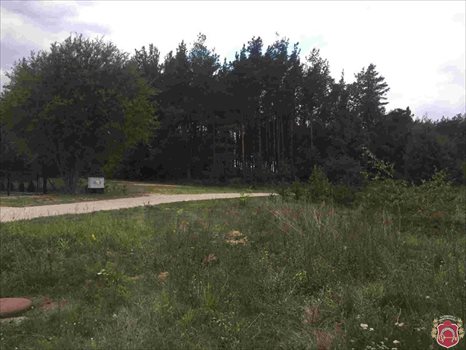 Działka budowlana na sprzedaż Bojano, Jana Chrzciciela 1 307m2 Foto 6