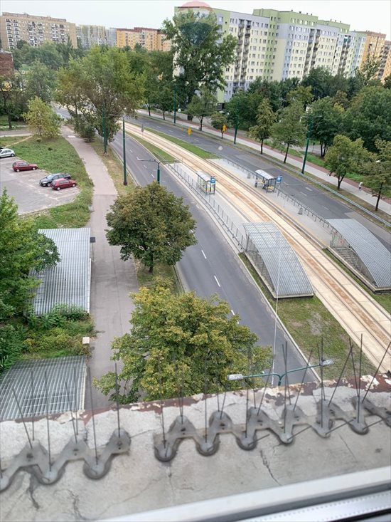 Lokal użytkowy na wynajem Sosnowiec, marsz. Józefa Piłsudskiego 25m2 Foto 12