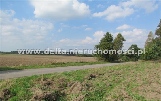 Działka budowlana na sprzedaż Warblewo 5 500m2 Foto 7