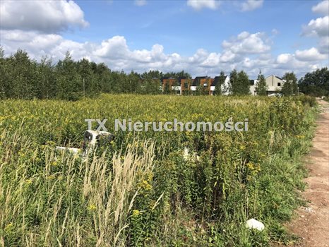 Działka budowlana na sprzedaż Gliwice, Wójtowa Wieś 630m2 Foto 7