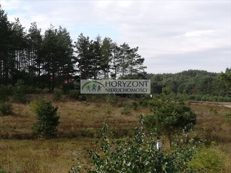 Działka budowlana na sprzedaż Bojano 3 932m2 Foto 3