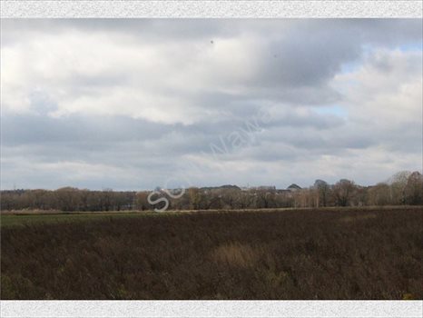 Działka rolna na sprzedaż Warszawa, Wilanów 4 388m2 Foto 5