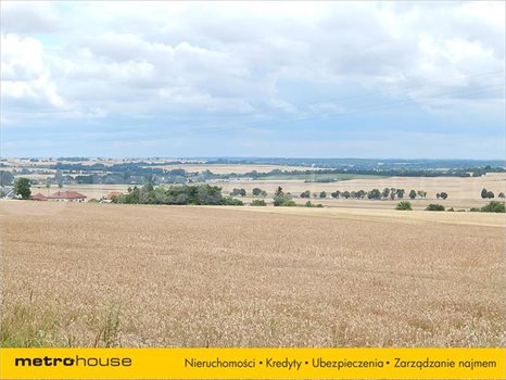 Działka inna na sprzedaż Janów, Chełm 33 379m2 Foto 2