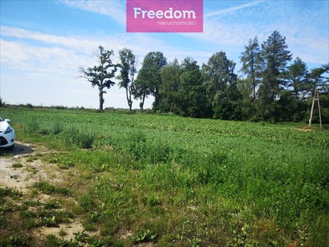 Działka budowlana na sprzedaż Osieki Lęborskie 3 640m2 Foto 3