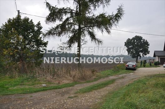 Działka budowlana na sprzedaż Jedlina, Dąbrowskiej 621m2 Foto 1