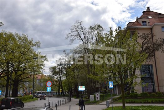 Lokal użytkowy na wynajem Wrocław, Krzyki, Powstańców Śląskich 246m2 Foto 9
