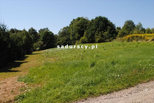Działka budowlana na sprzedaż Mogilany, Leszczynowa 1 000m2 Foto 6