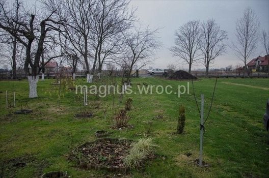 Działka budowlana na sprzedaż Mnichowice 2 701m2 Foto 2
