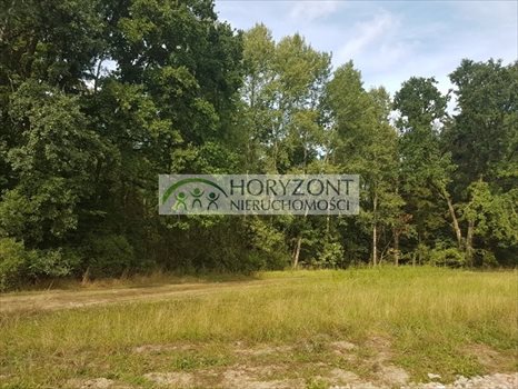 Działka inna na sprzedaż Leźno 3 327m2 Foto 4