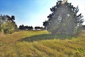 Dom na sprzedaż Siecień 30m2 Foto 3