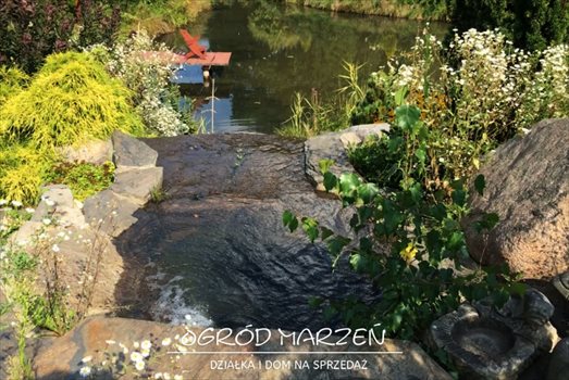 Działka budowlana na sprzedaż Rybnik, Rybnicka 16b 12 000m2 Foto 8