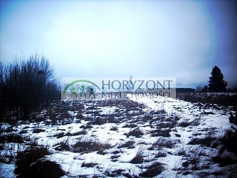 Działka budowlana na sprzedaż Bojano 1 000m2 Foto 6