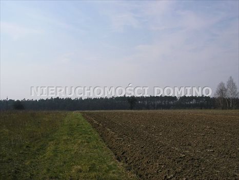 Działka inna na sprzedaż Dłutów 19 000m2 Foto 2