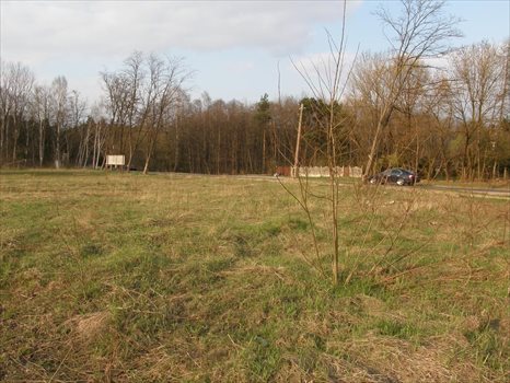 Działka budowlana na sprzedaż Dąbrowa Górnicza, Pogoria 1, Świętego Antoniego 5 144m2 Foto 3