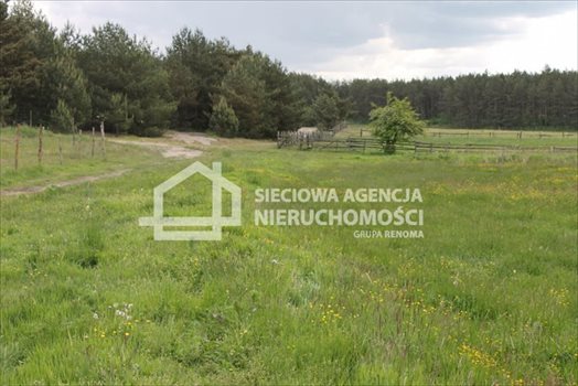 Działka budowlana na sprzedaż Lubowidz 1 066m2 Foto 9