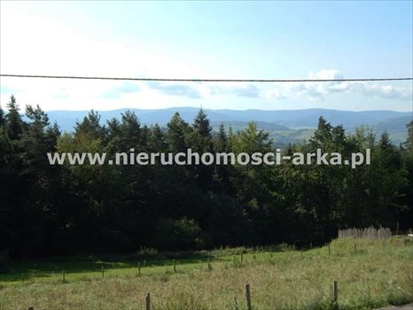 Działka budowlana na sprzedaż Mszana Dolna 7 500m2 Foto 6