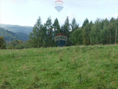 Działka budowlana na sprzedaż Rabka-Zdrój 5 650m2 Foto 8