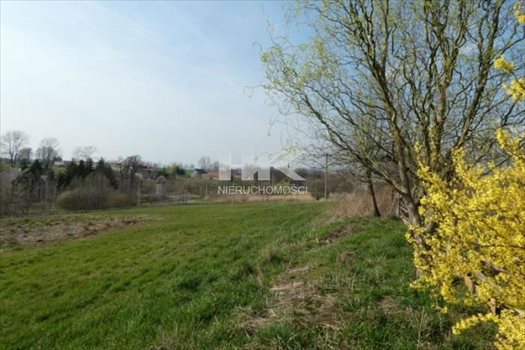 Mieszkanie dwupokojowe na sprzedaż Radzimów 50m2 Foto 9