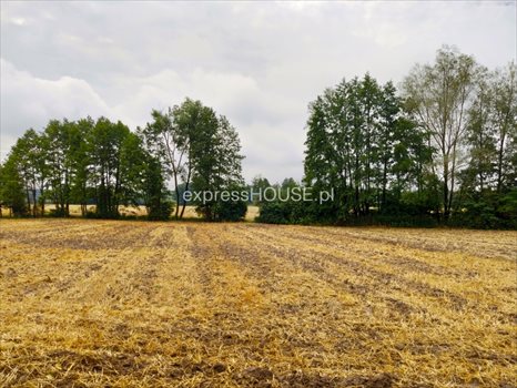 Działka budowlana na sprzedaż Majdan Krasieniński 2 100m2 Foto 3