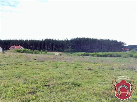 Działka rolna na sprzedaż Bojano, Diamentowa 3 000m2 Foto 4